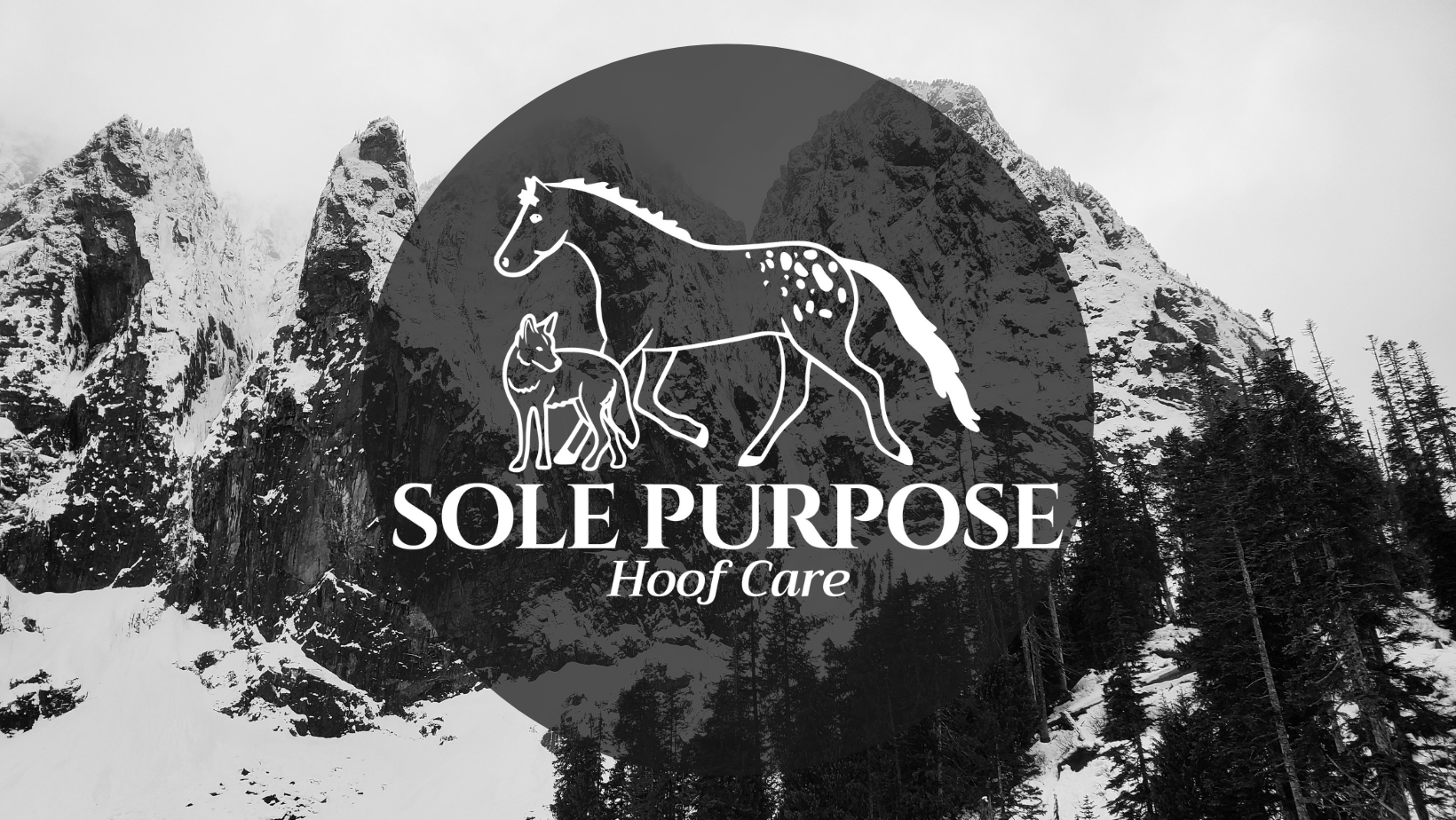 things-that-used-to-make-me-mad-sole-purpose-hoof-care